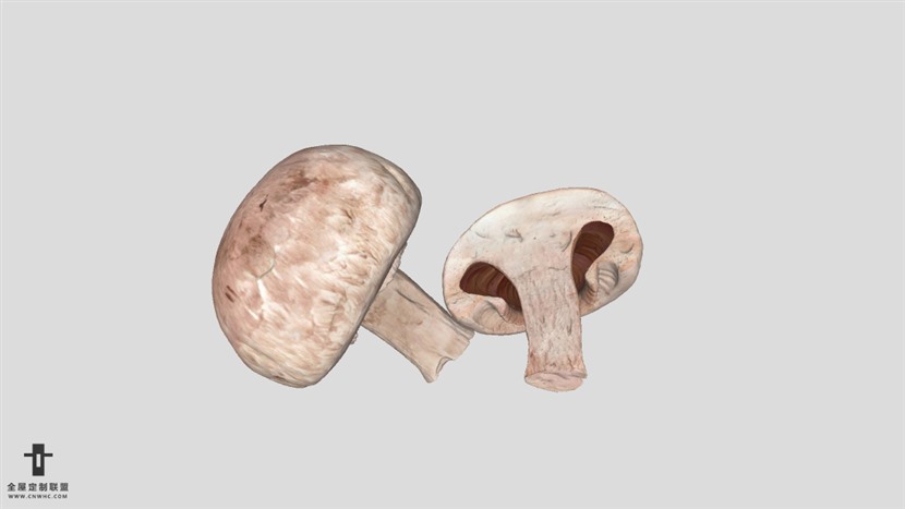 SketchUp高精度香菇模型草图大师水果蔬菜模型下载-038SKP模型