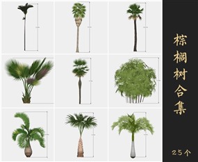 园林景观SketchUp户外植物模型SU棕榈树模型下载013.4