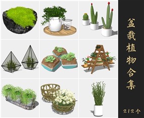 盆栽植物SketchUp室内植物模型SU绿植模型下载013.5