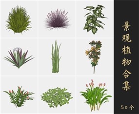 景观植物草图大师模型花草SU模型下载129