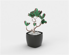 Vray材质多肉植物盆栽草图大师模型SketchUp植物花卉SU模型下载026