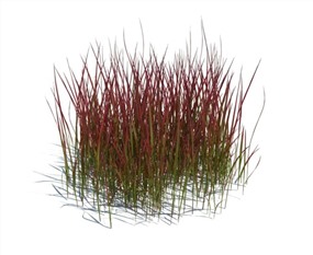 Vray景观植物SketchUp模型库农作物花草SU模型下载066