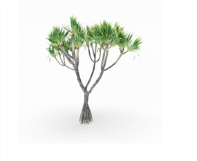 Vray景观植物SketchUp模型库景观树SU模型下载097