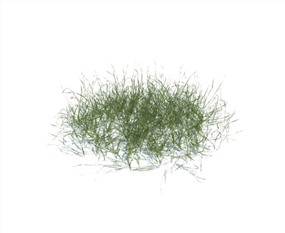 Vray景观植物SketchUp模型库野草SU模型下载099