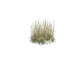 Vray景观植物SketchUp模型库野草SU模型下载111