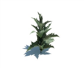 Vray景观植物SketchUp模型库野草SU模型下载113