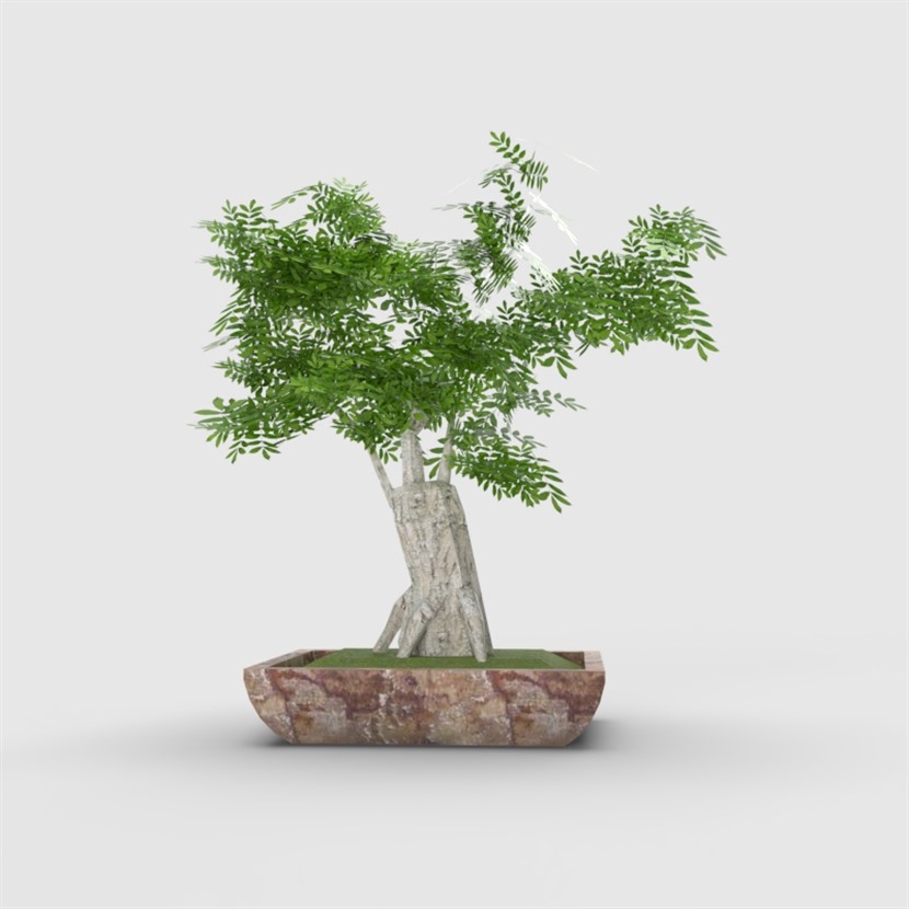 Vray材质植物花卉草图大师盆栽模型下载0127