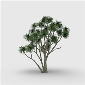 Vray for SketchUp草图大师室外植物模型下载006