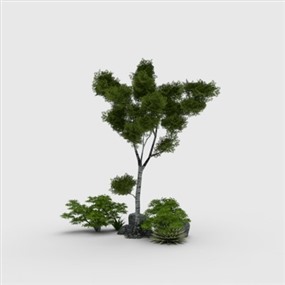 Vray for SketchUp草图大师室外植物模型下载011