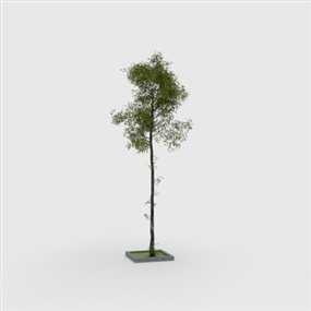 Vray for SketchUp草图大师室外植物模型下载017