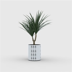 Vray for SketchUp盆栽植物草图大师模型下载076