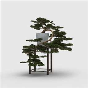 Vray for SketchUp盆栽植物草图大师模型下载084