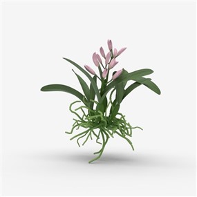 Vray&Enscape双材质景观花草植物SketchUp模型下载087