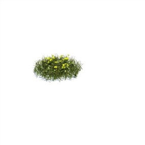 Vray&Enscape双材质景观花草植物SketchUp模型下载166