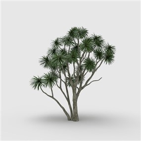 Vray&Enscape双材质景观植物树SketchUp模型下载005