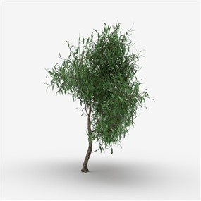 Vray&Enscape双材质景观灌木植物SketchUp模型下载041