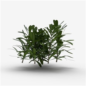 Vray&Enscape双材质景观灌木植物SketchUp模型下载043