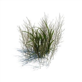 Vray&Enscape双材质景观花草植物SketchUp模型下载124