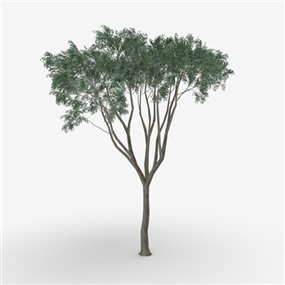 Vray&Enscape双材质景观植物树SketchUp模型下载032