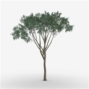 Vray&Enscape双材质景观植物树SketchUp模型下载112