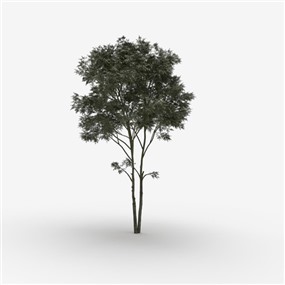 Vray&Enscape双材质景观植物树SketchUp模型下载207