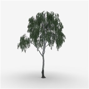 Vray&Enscape双材质景观植物树SketchUp模型下载218