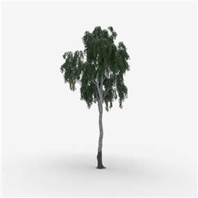 Vray&Enscape双材质景观植物树SketchUp模型下载219