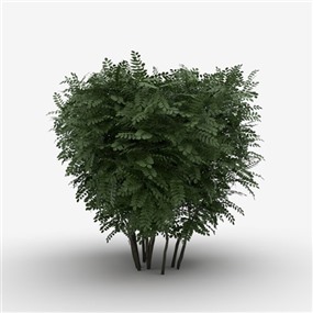 Vray&Enscape双材质景观灌木植物SketchUp模型下载128