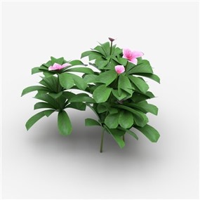 Vray&Enscape双材质景观花草植物SketchUp模型下载062