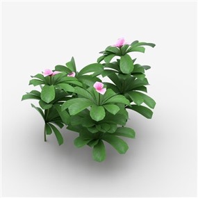 Vray&Enscape双材质景观花草植物SketchUp模型下载063