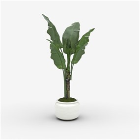 Vray材质盆栽植物SketchUp草图大师模型下载514