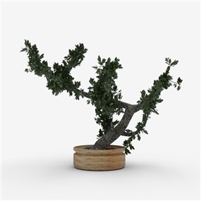 Vray材质盆栽植物SketchUp草图大师模型下载271