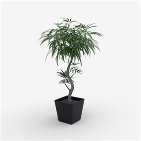 Vray材质盆栽植物SketchUp草图大师模型下载295