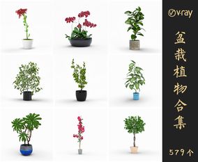 Vray材质盆栽植物SketchUp模型库草图大师模型VOL.010