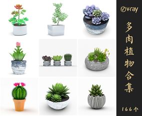 Vray材质多肉植物SketchUp模型库草图大师模型VOL.012