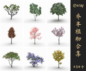 Vray材质景观乔本植物SketchUp模型库草图大师模型VOL.014