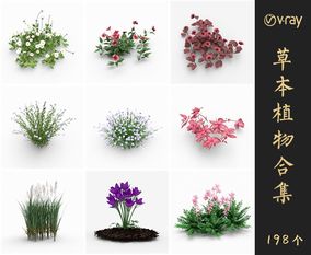 Vray材质景观花草植物SketchUp模型库草图大师模型VOL.015