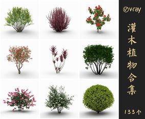 Vray材质景观灌木植物SketchUp模型库草图大师模型VOL.016