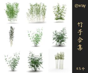 Vray材质景观竹子植物SketchUp模型库草图大师模型VOL.017