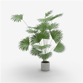 Vray材质盆栽植物SketchUp草图大师模型下载335