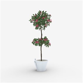 Vray材质盆栽植物SketchUp草图大师模型下载342