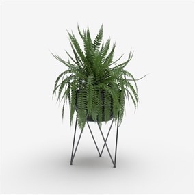 Vray材质盆栽植物SketchUp草图大师模型下载379