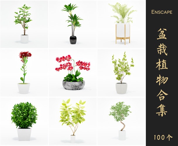 Enscape盆栽植物SketchUp模型库草图大师SU模型VOL.020