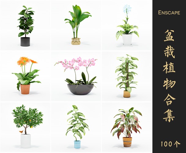 Enscape盆栽植物SketchUp模型库草图大师SU模型VOL.071