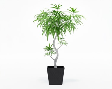 盆栽植物SketchUp草图大师模型下载320