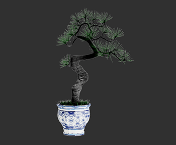 盆栽植物SketchUp草图大师SU模型下载202302994