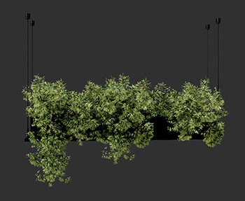 盆栽植物SketchUp草图大师SU模型下载0234