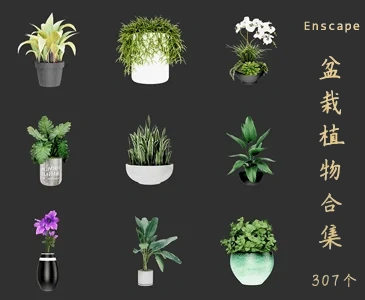 307个盆栽植物SketchUp模型植物花卉草图大师SU模型VOL.185