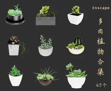 65个多肉植物SketchUp模型植物花卉草图大师SU模型VOL.186