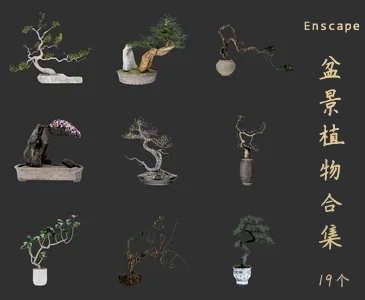 19个盆景盆栽SketchUp模型植物花卉草图大师SU模型VOL.187